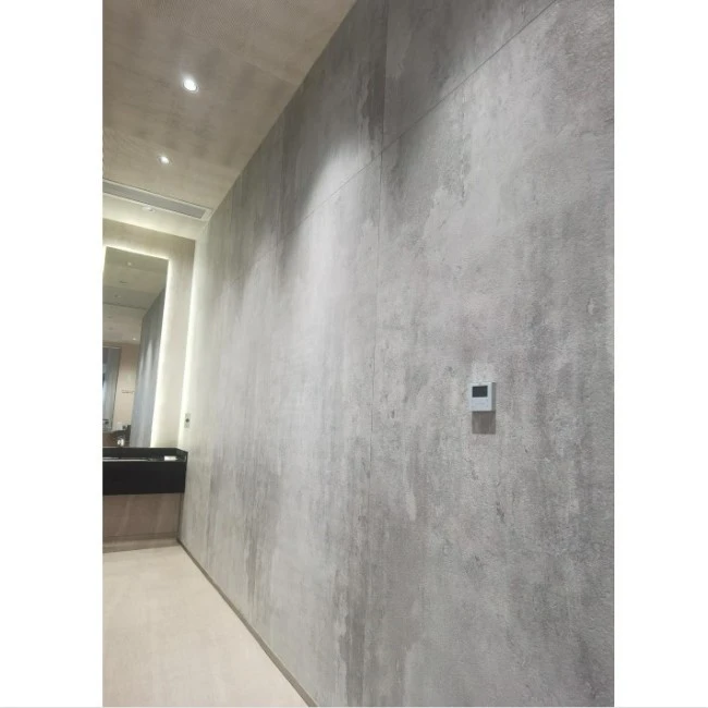 Polish Concrete Wall Medium Gray